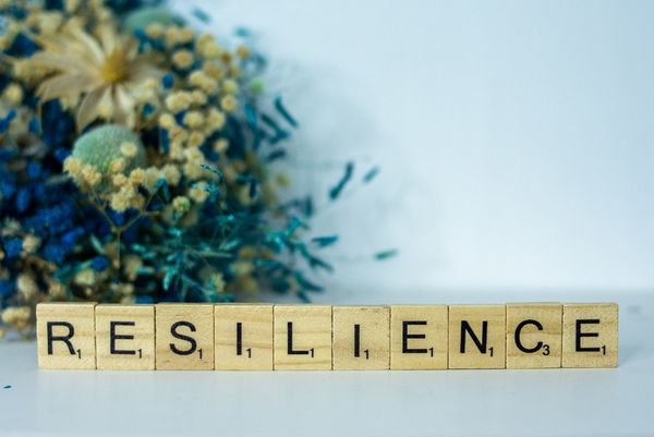 The Inner Resilience